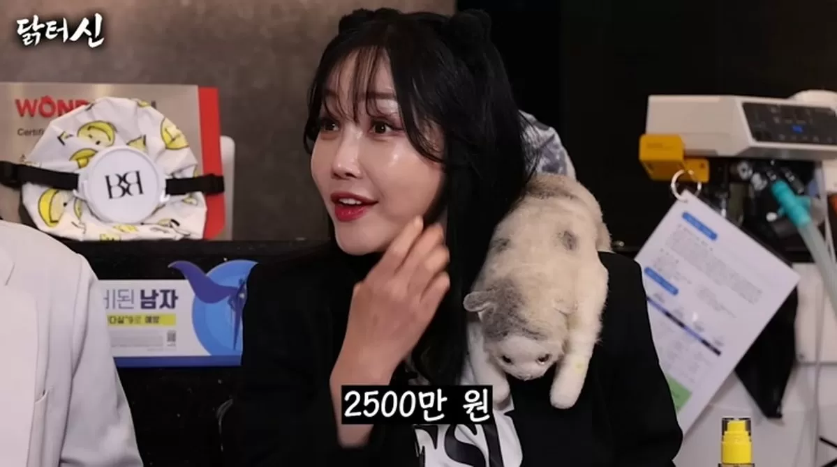 인사이트