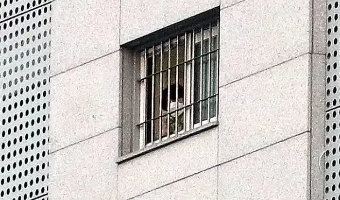 뉴스1