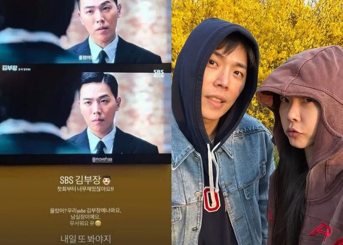인사이트