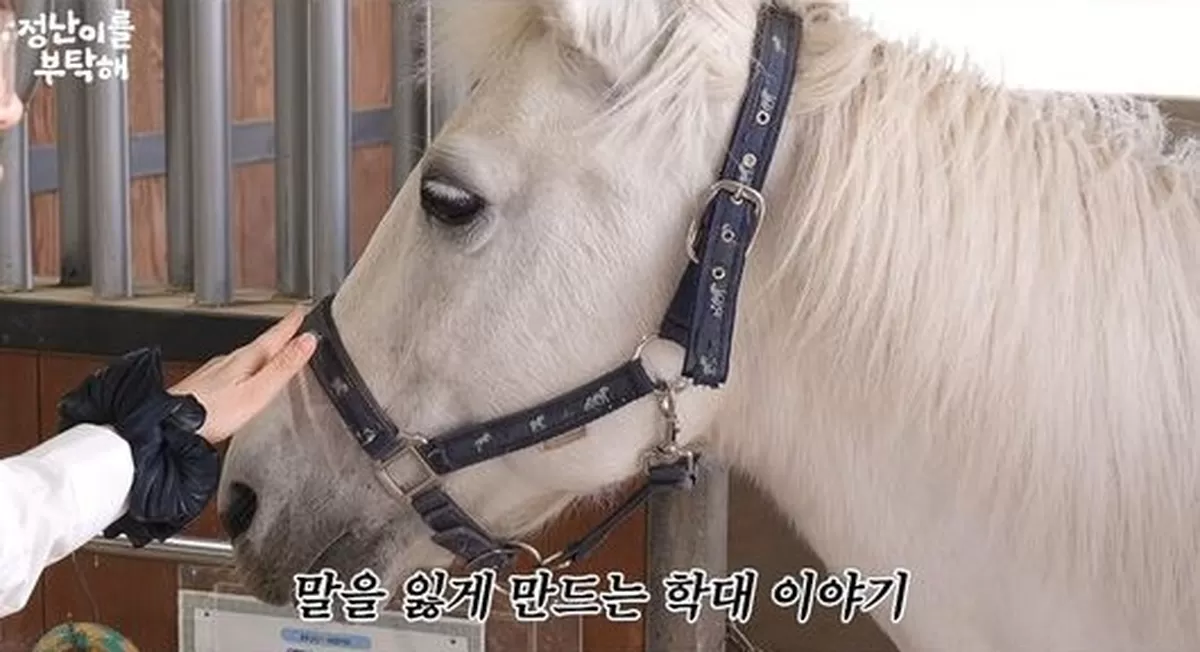 망치부터 생체 실험까지... 김정난, 말 학대 사건에 “사람 아닌 괴물” 분노 폭발