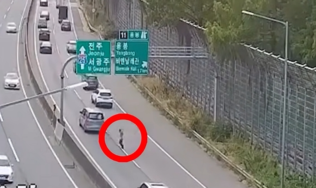 “제발 멈추세요!” 고속도로 걷던 노인 본 시민들, 경찰차 길 터준 훈훈한 9분의 기적