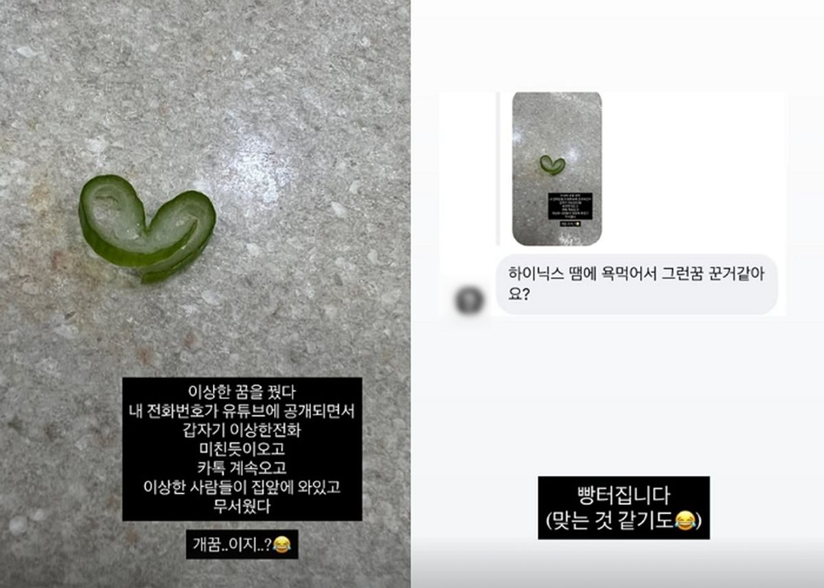 ‘고점판독기’ 미자, 하이닉스 폭락 후 악몽까지 “유튜브에 전화번호 공개돼”