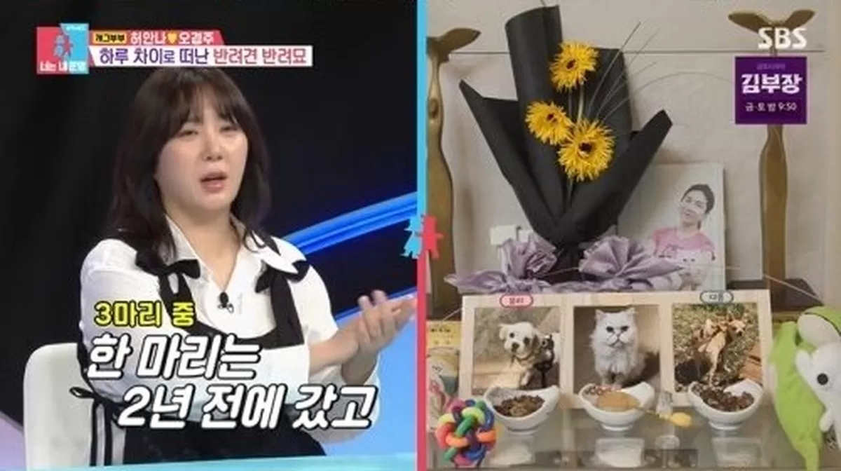 기존 이미지