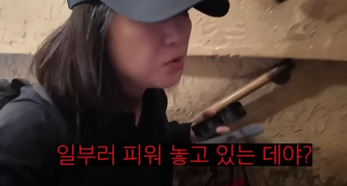 인사이트