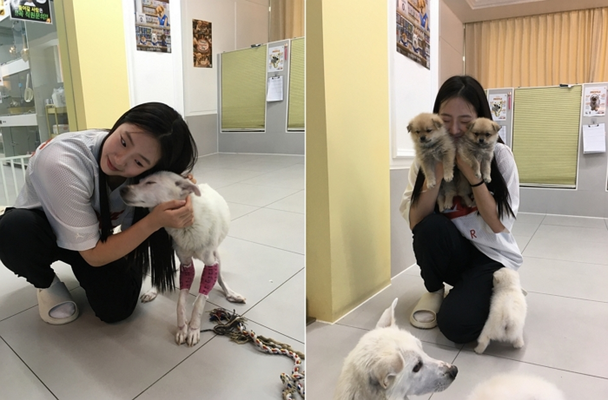 신유빈, 생일 기부부터 유기견 봉사까지... 코트 위 우승만큼 빛나는 따뜻한 일상