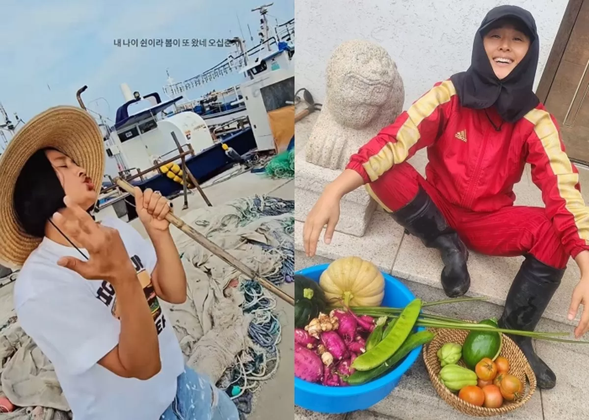 인사이트