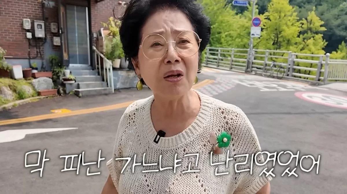 인사이트