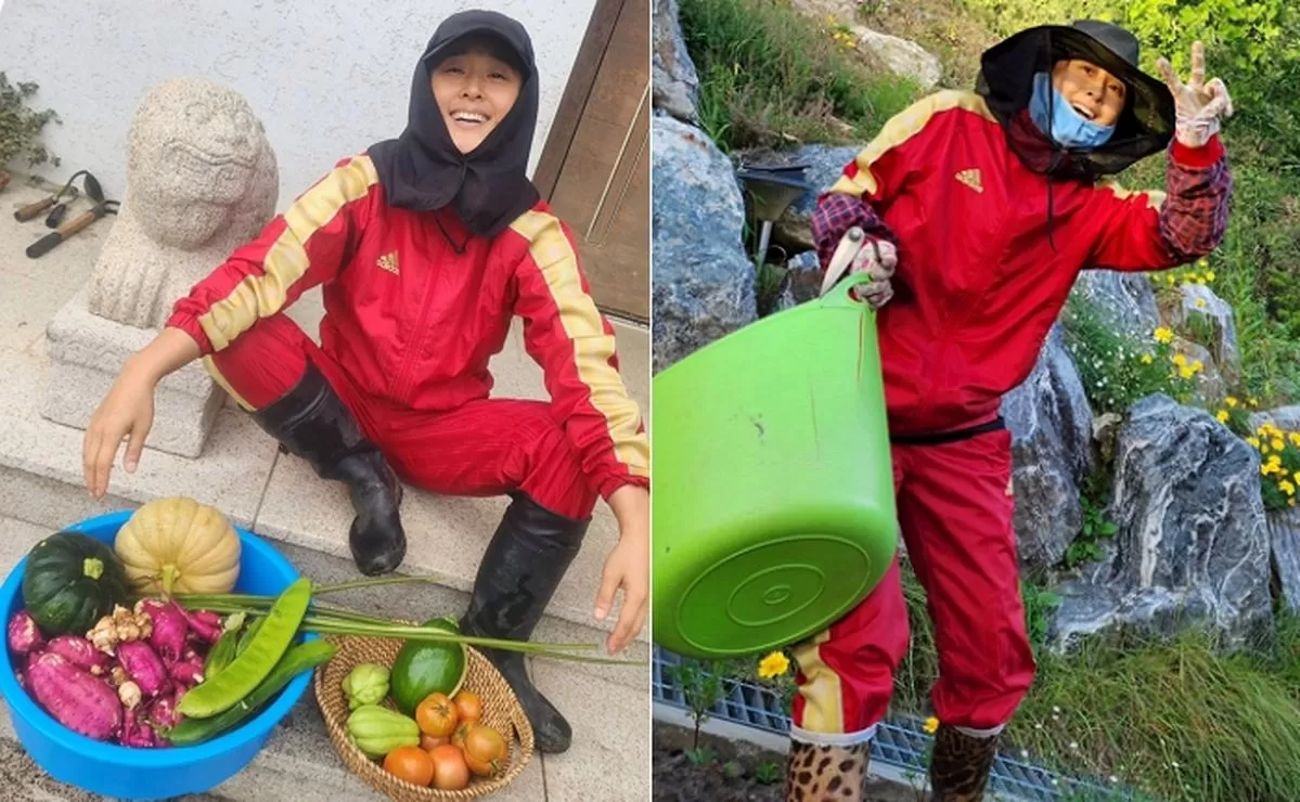 인사이트
