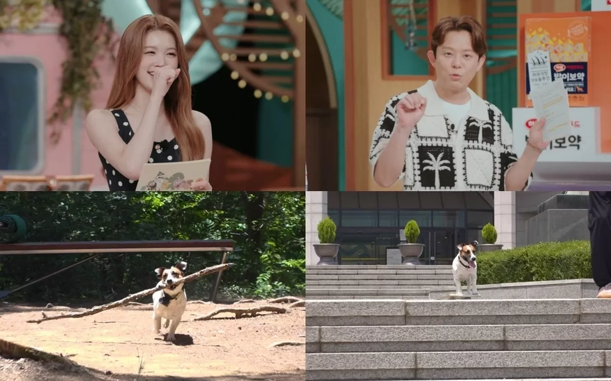 SBS 'TV 동물농장'