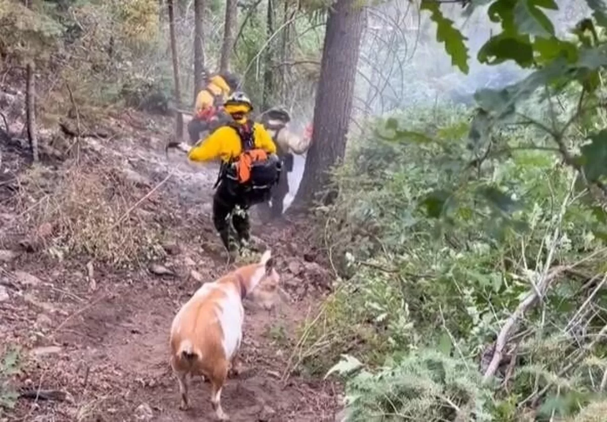 [화면출처 : Colorado Springs Fire Department]
