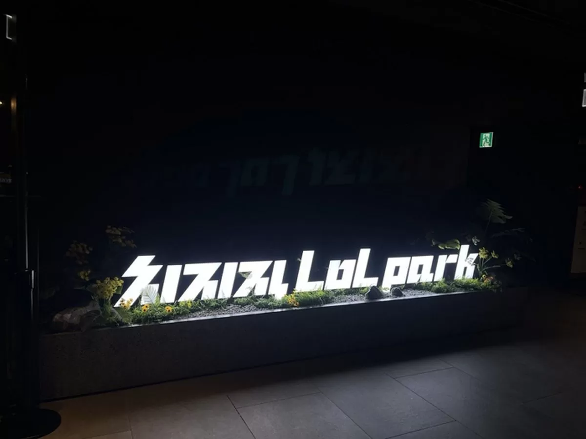 인사이트