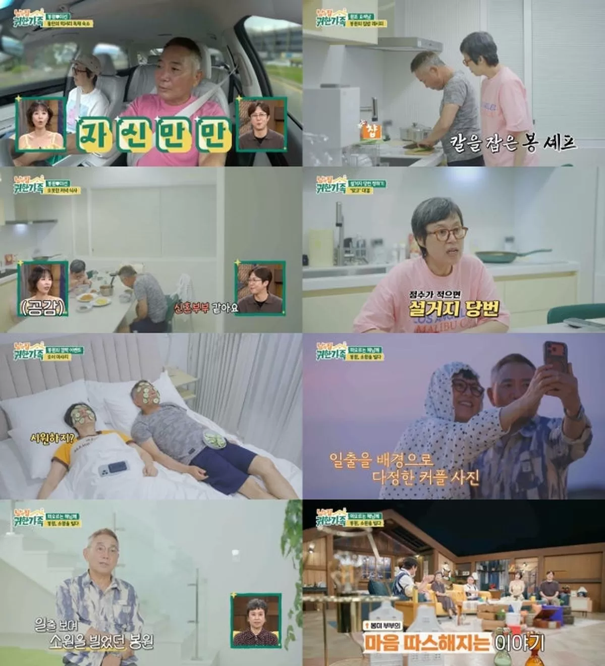 인사이트