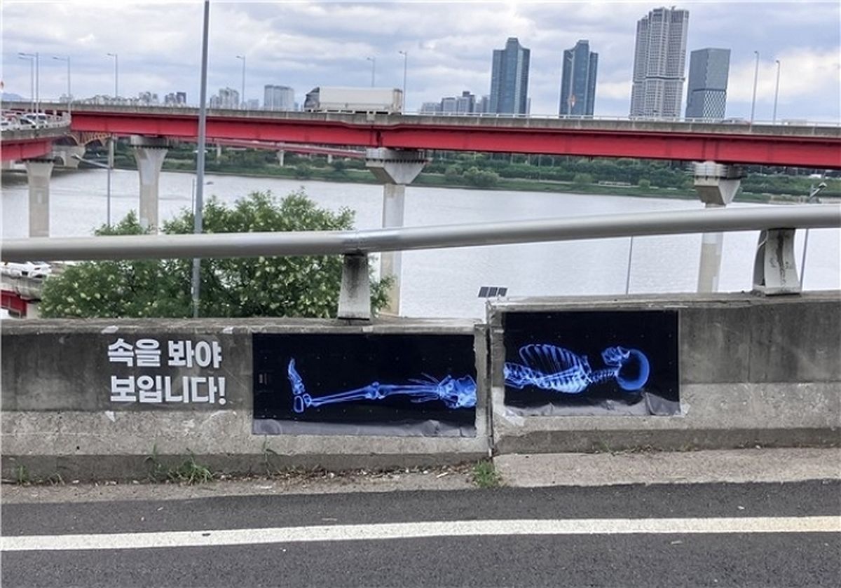 “부러진 척추가 왜 여기에”... 성수대교 ‘9cm 단차’ 진입로에 붙은 이색 광고