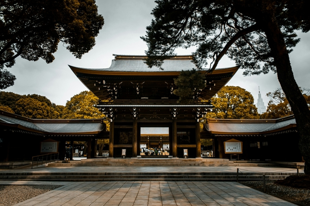 shunya-koide-2gFVvon0VDY-unsplash.jpg