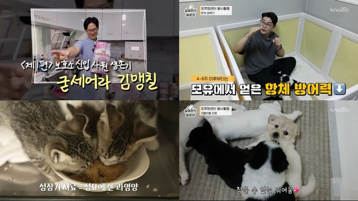 로얄캐닌, 김명철∙설채현 수의사와 '생애주기별 영양 관리' 캠페인... 보호소 1만 마리에 사료 기부
