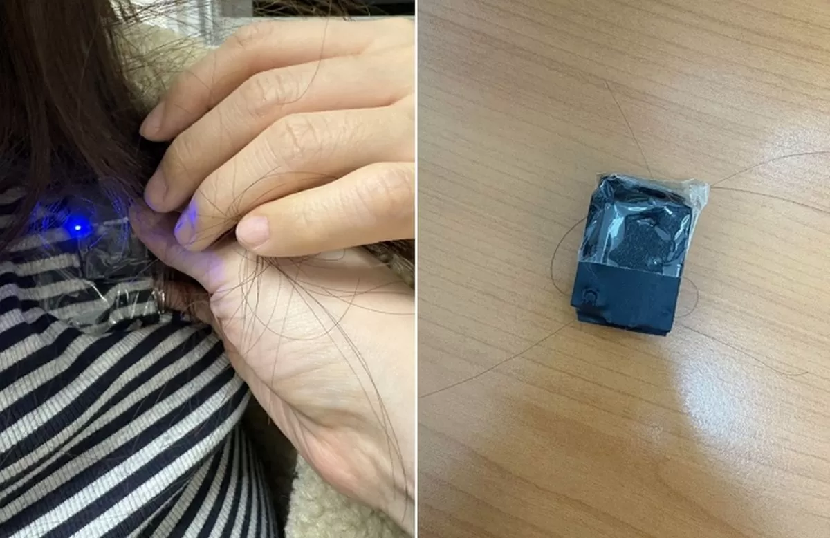 인사이트
