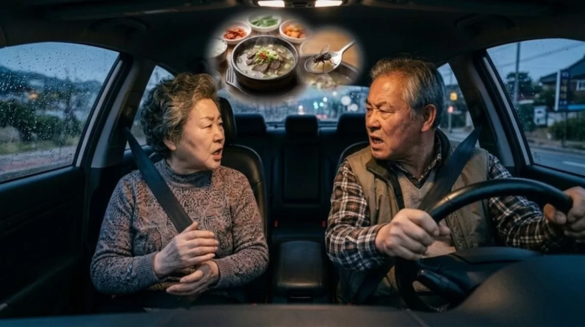 인사이트
