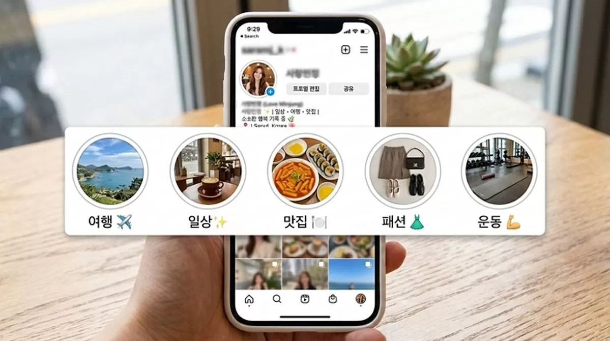 인사이트
