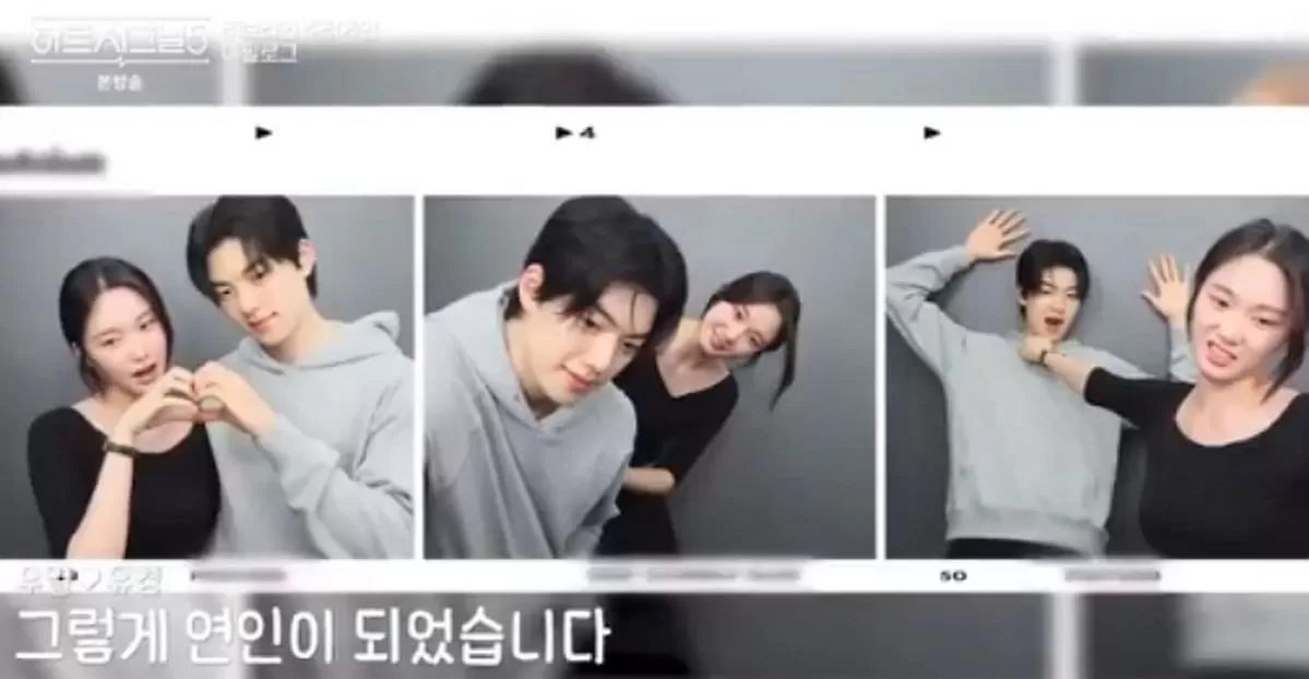인사이트