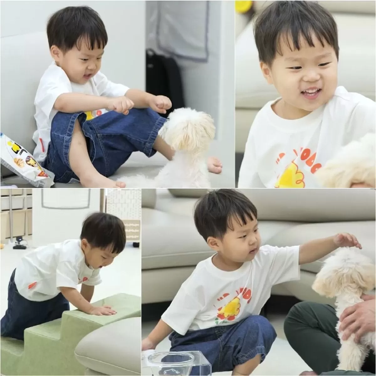 사진 제공=KBS