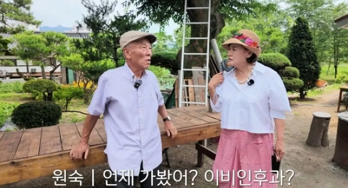 인사이트