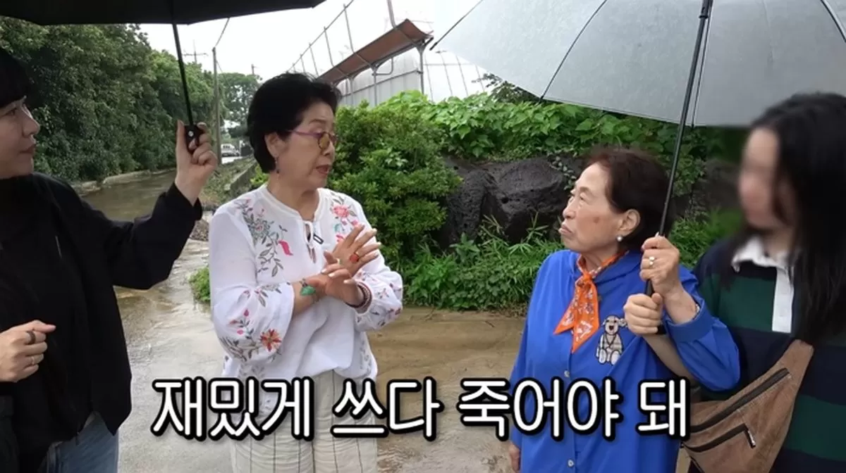 인사이트