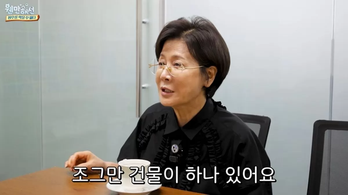 인사이트
