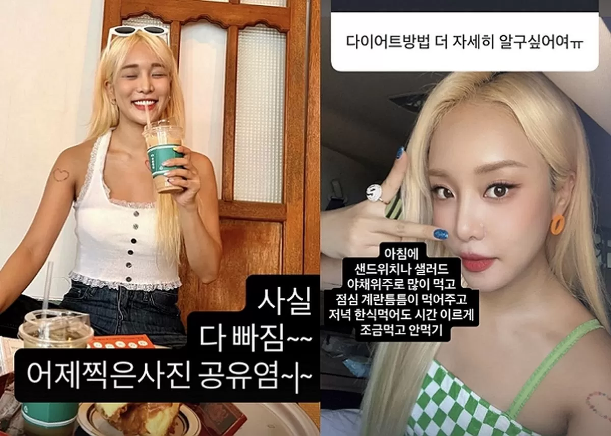 인사이트