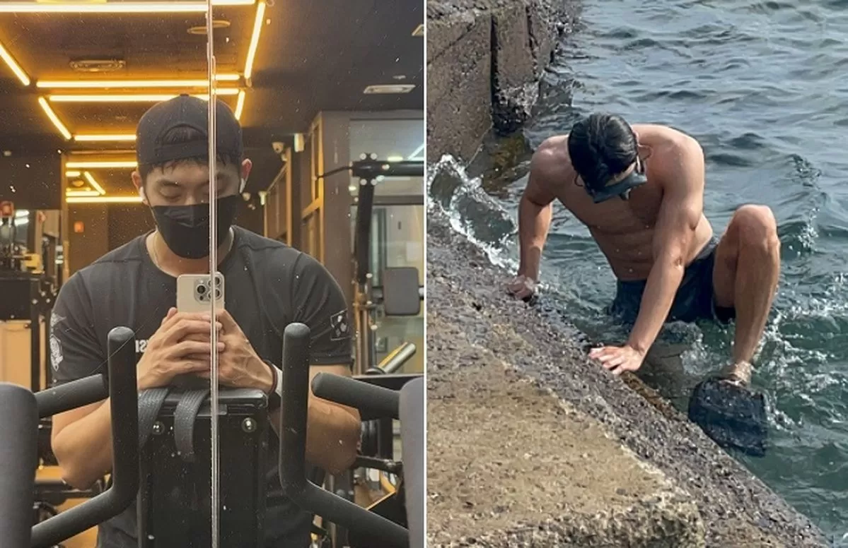 인사이트