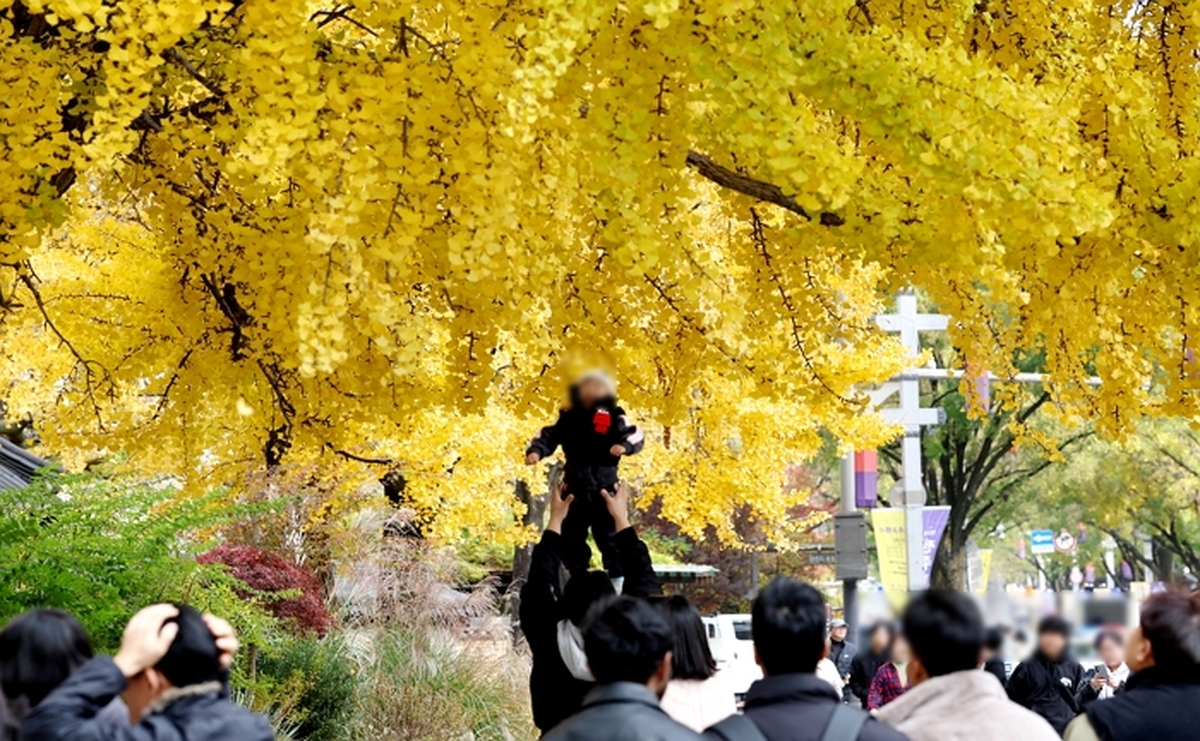 기존 이미지