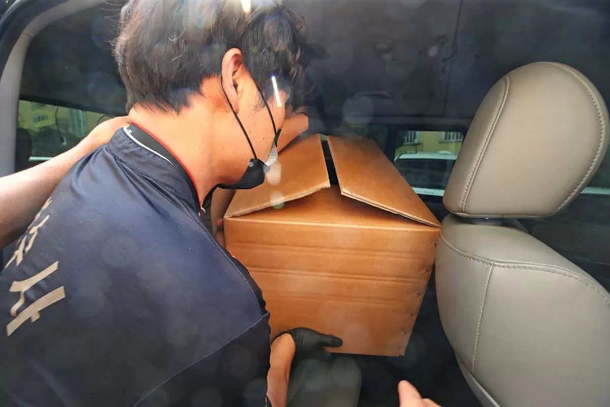 인사이트