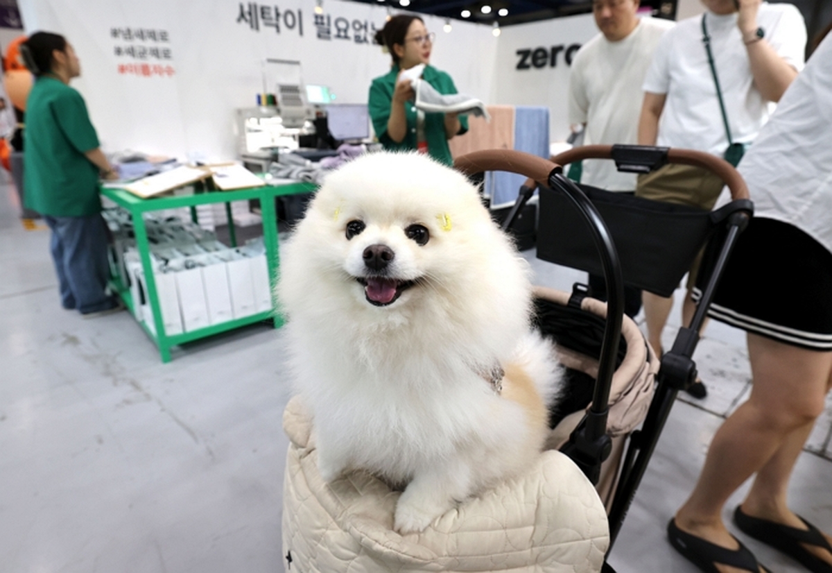 origin_케이펫페어놀러왔어요.jpg