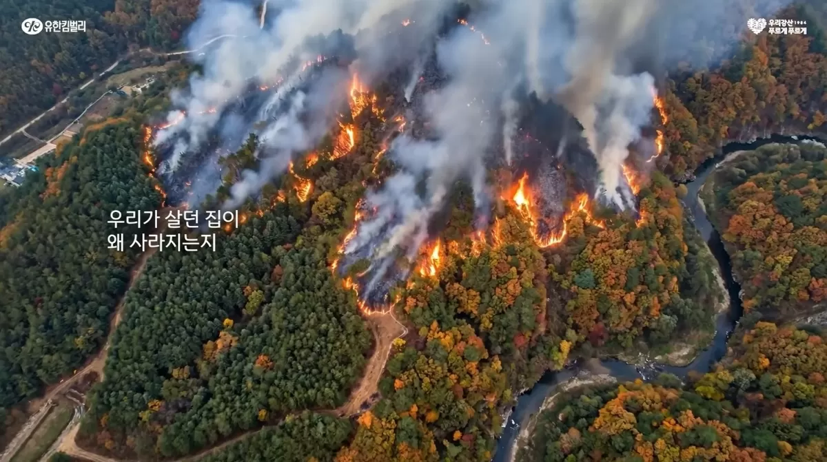 캡처_2026_07_27_14_17_36_134.jpg