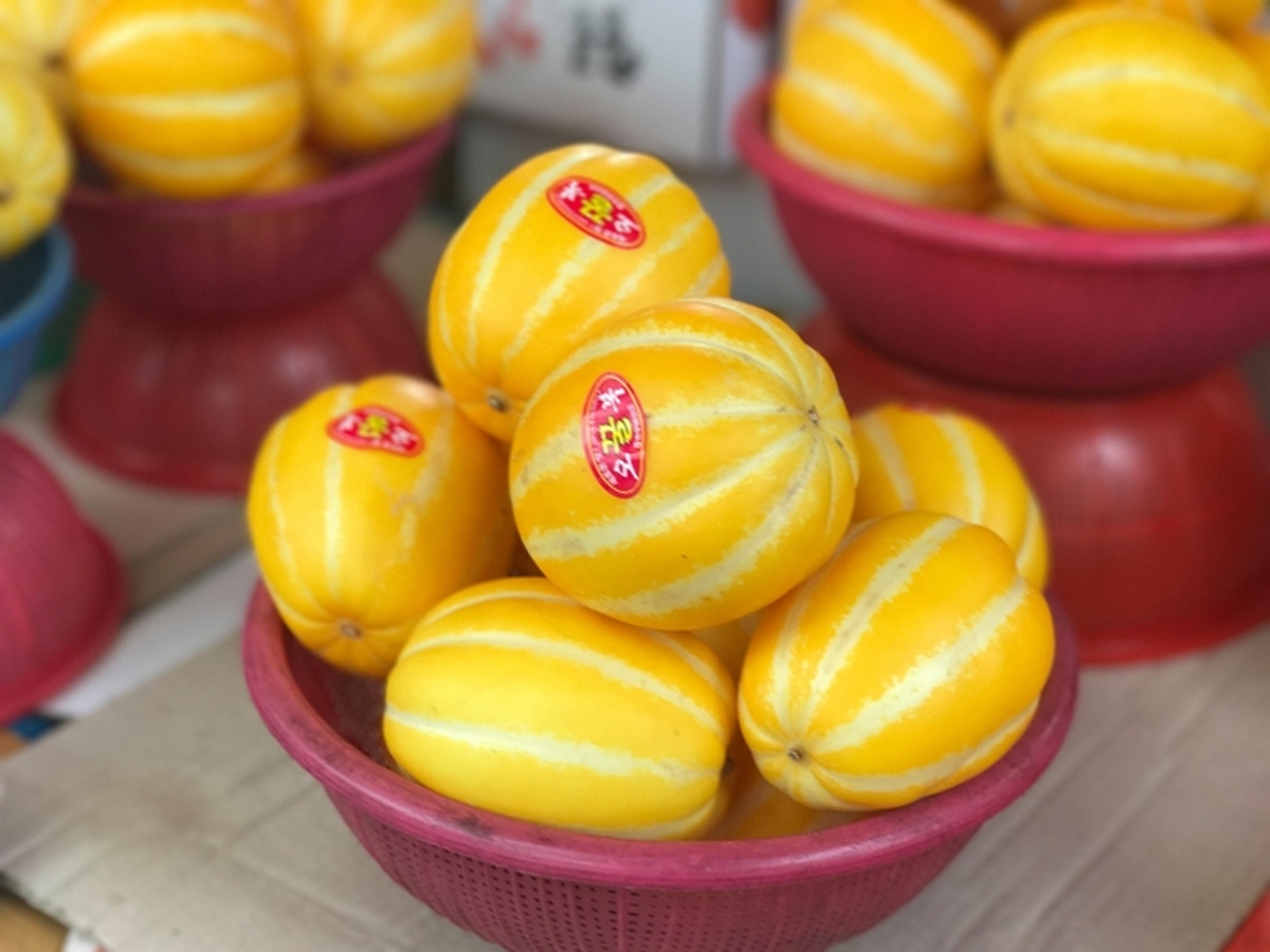 allybally4b-melon-6002760.jpg
