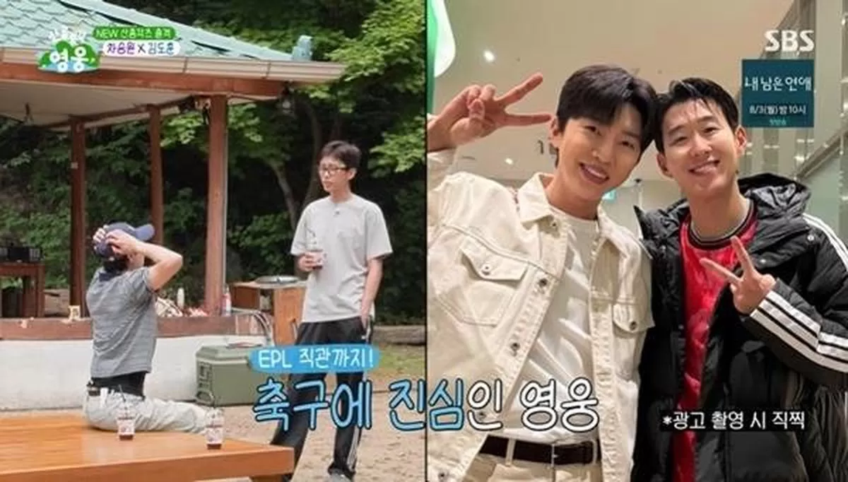 인사이트