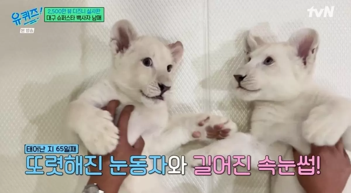 기존 이미지