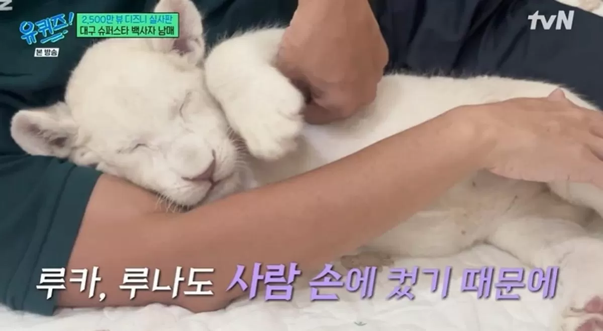 기존 이미지