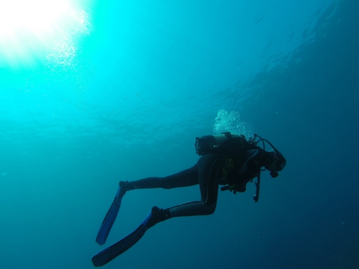 tuturgires-diver-752667.jpg