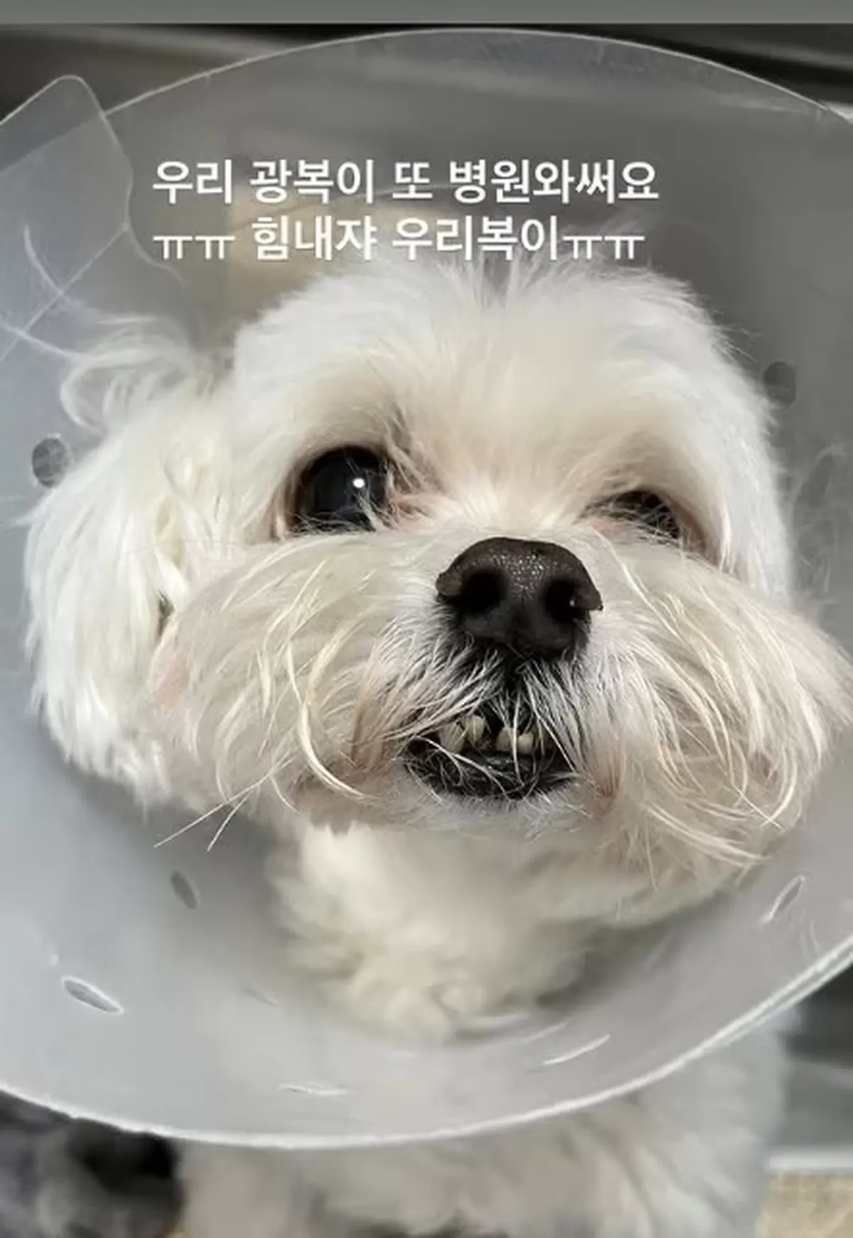 박성광♥이솔이, 안타까운 소식 전했다 “또 병원... 힘내자 우리 복이”