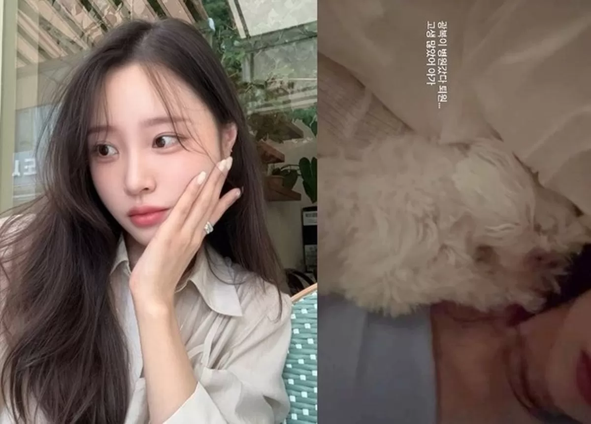 이솔이 소셜미디어