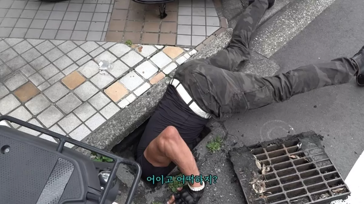 인사이트