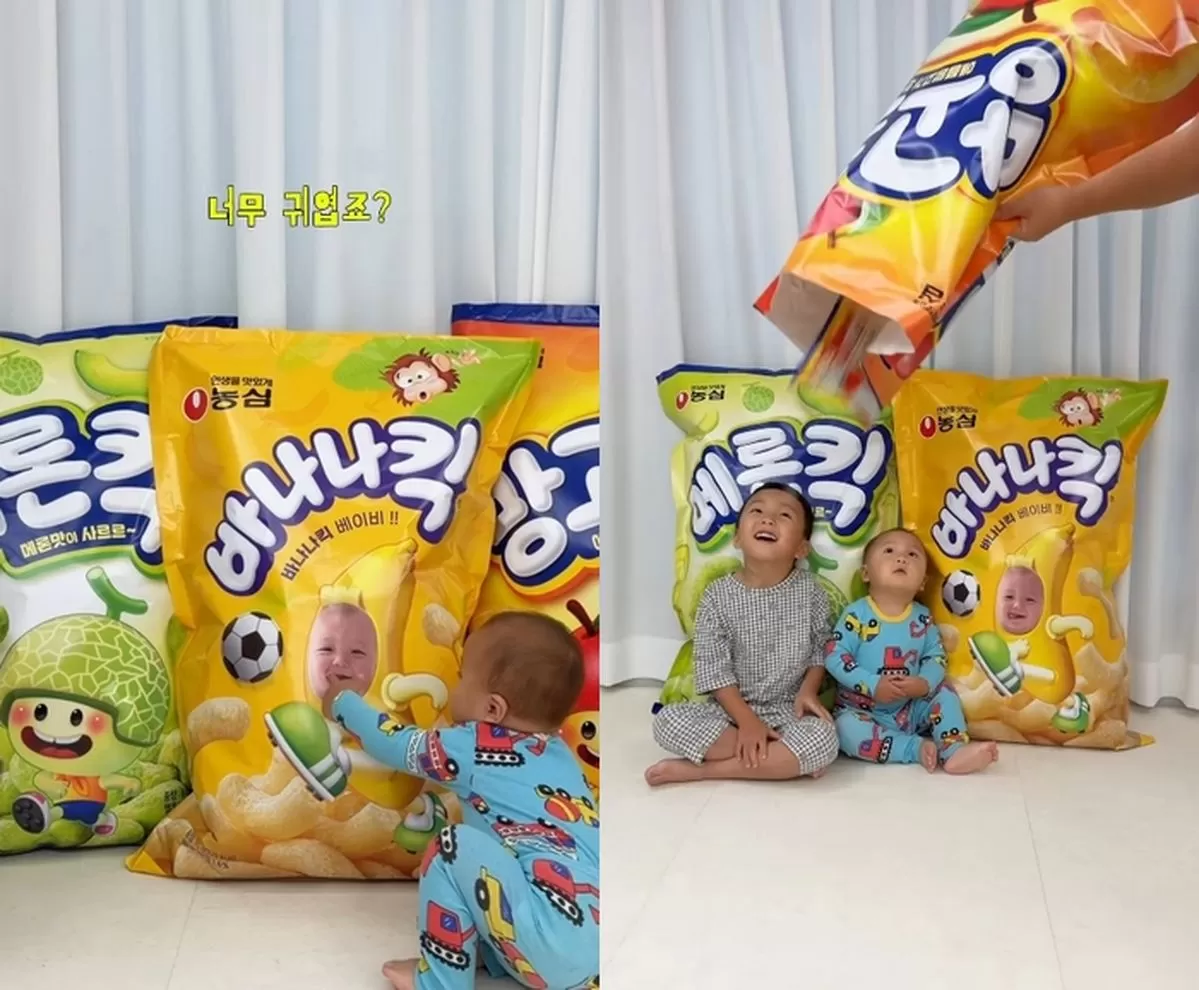 인사이트