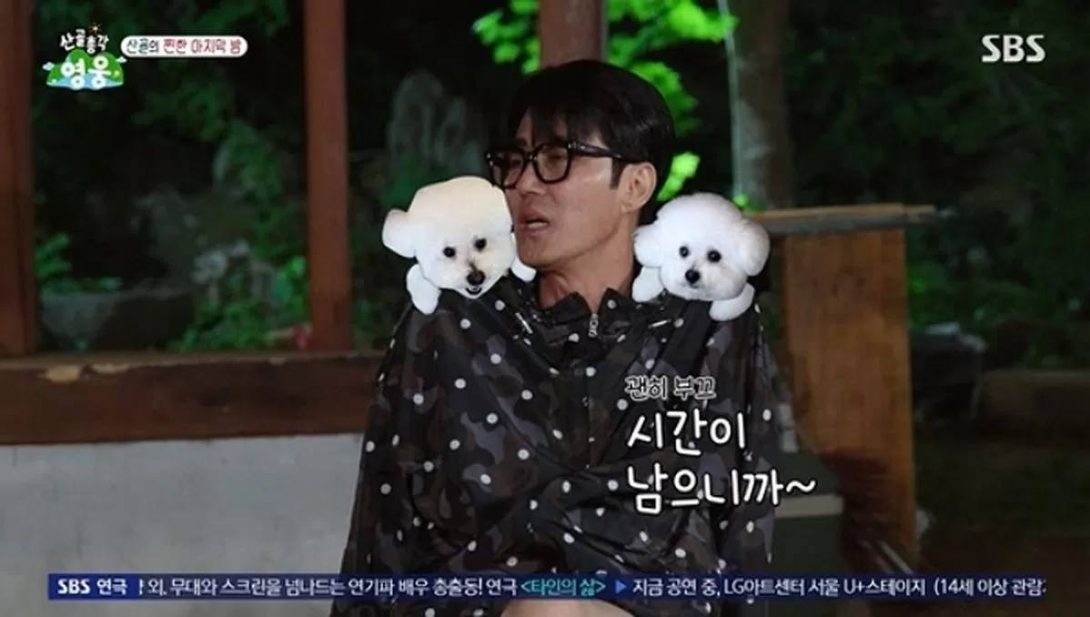 인사이트
