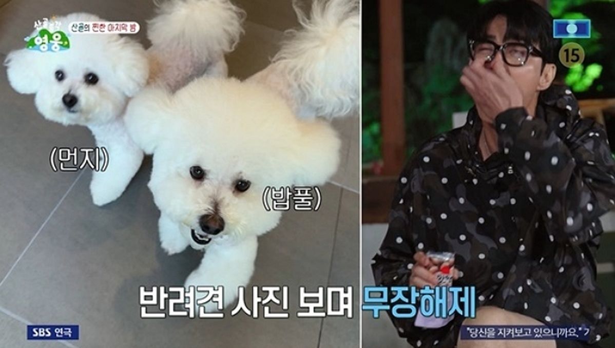 ‘반려견에 진심’인 차승원이 혼자 휴대폰 보다가 빵 터진 이유, ‘이 사진’ 때문이었다