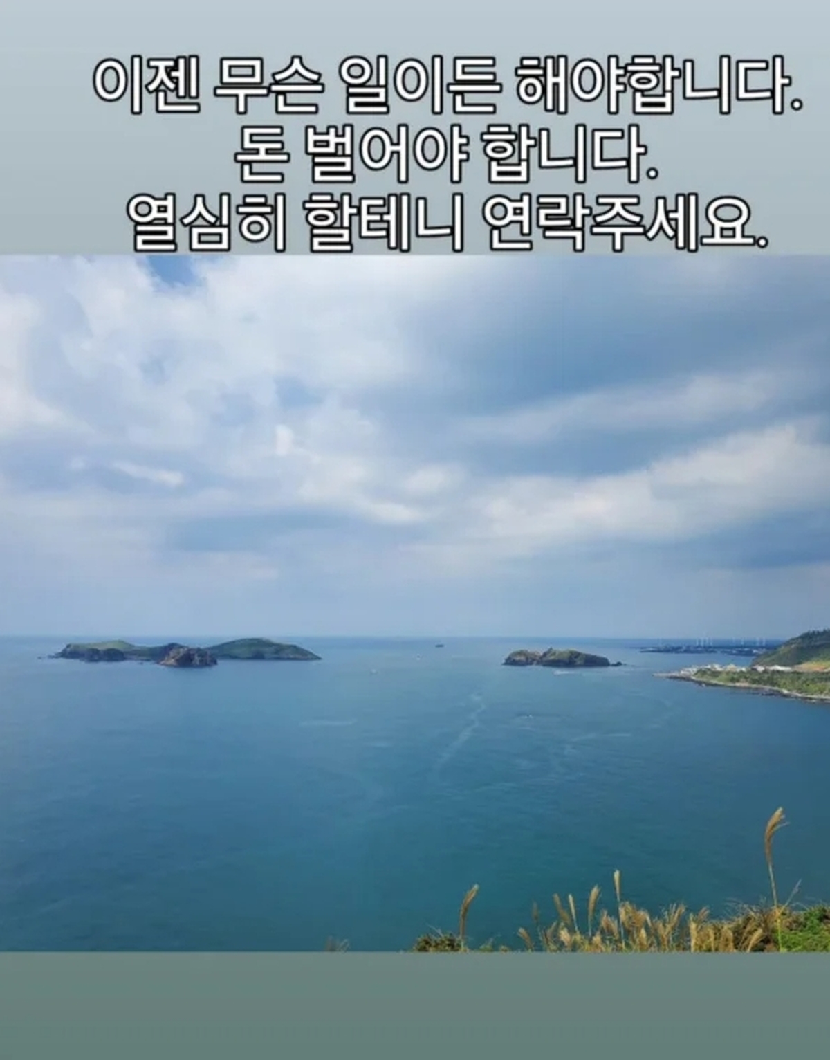 박2.jpg