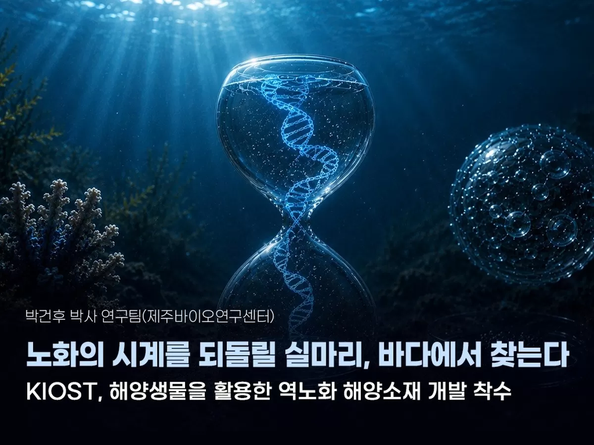 해양생물 노화 저항성 연구
