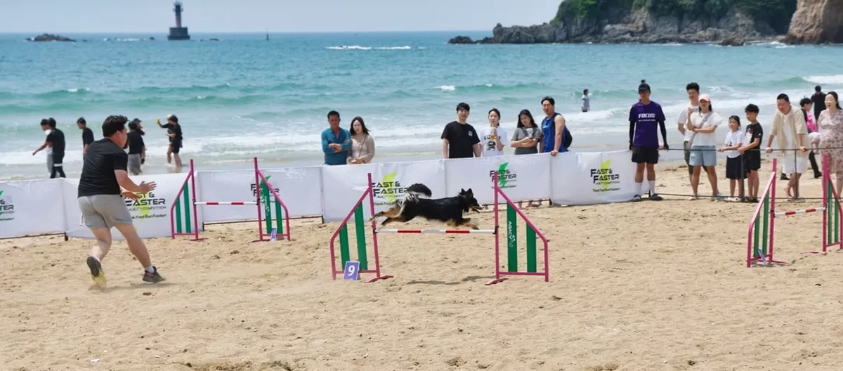 태안군