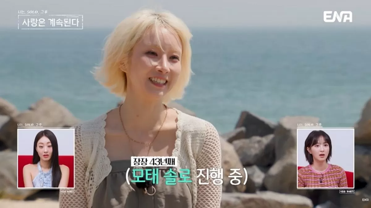 인사이트