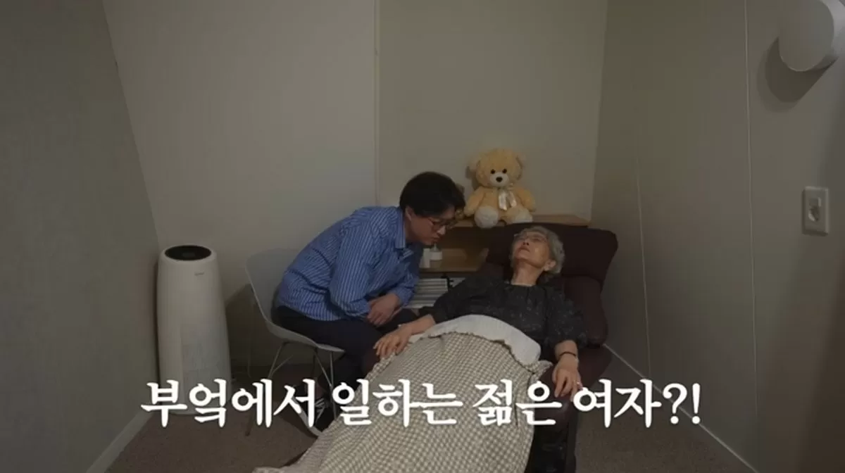인사이트