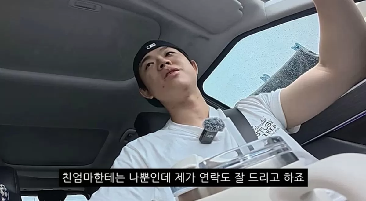인사이트